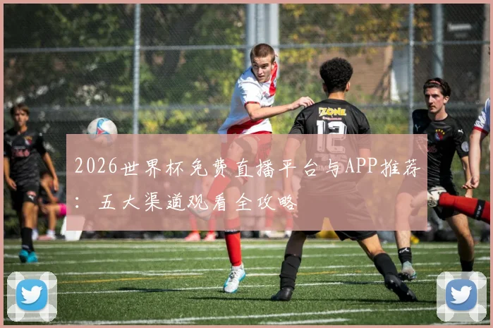 2026世界杯免费直播平台与APP推荐:五大渠道观看全攻略