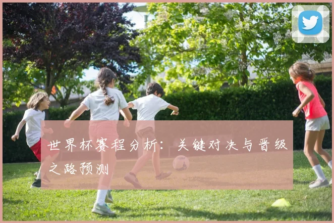 世界杯赛程分析：关键对决与晋级之路预测
